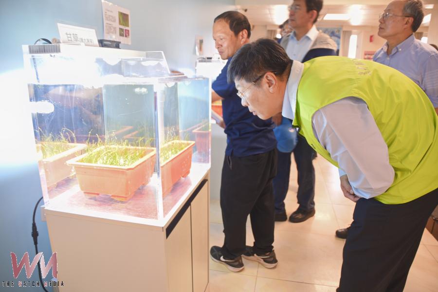 運用科技復育海草 澎縣府與中華電信臺南營運處聯手拓展藍碳經濟 - https://www.watchmedia01.com