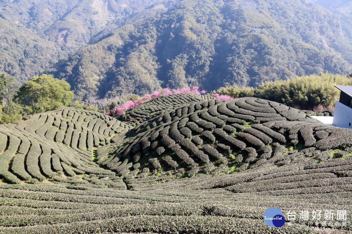 太極美地低碳旅遊規劃景區風景優美。（記者扶小萍攝）<br /><br /> <br /><br /> <br /><br /> 