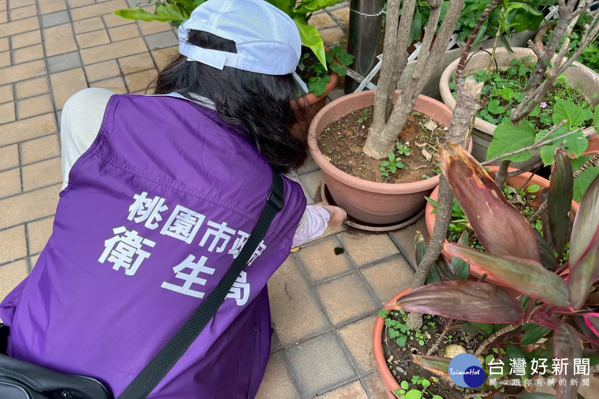 防範登革熱，桃市府衛生局呼籲市民落實「巡、倒、清、刷」，定期巡檢住家內外環境。