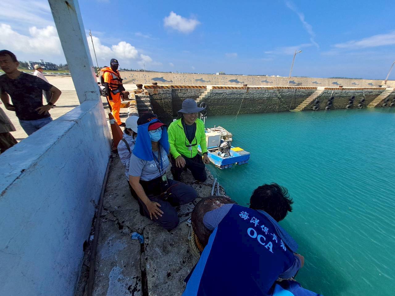 澎湖沙港西漁港3隻熱帶斑海豚順利游回大海 見證海洋野生動物自由自在的美好一刻