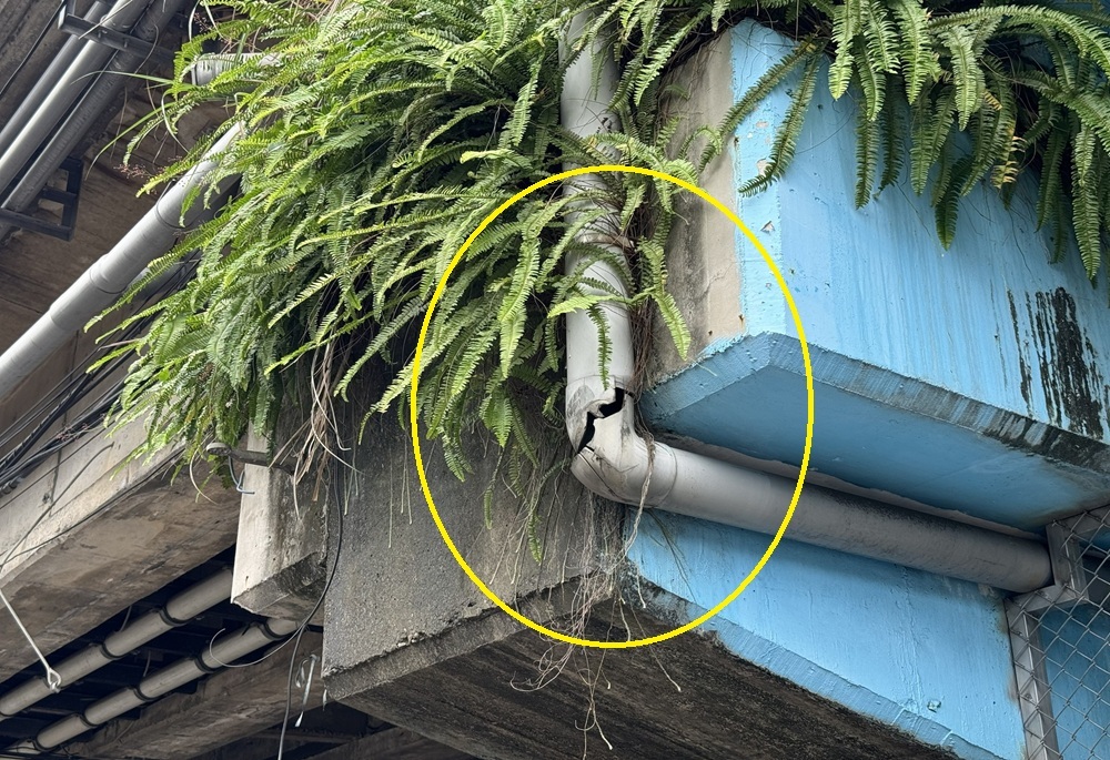 碧潭大橋排水系統老舊現隱憂 黃心華要求全面檢修避免危及橋體安全 205 248260526a07