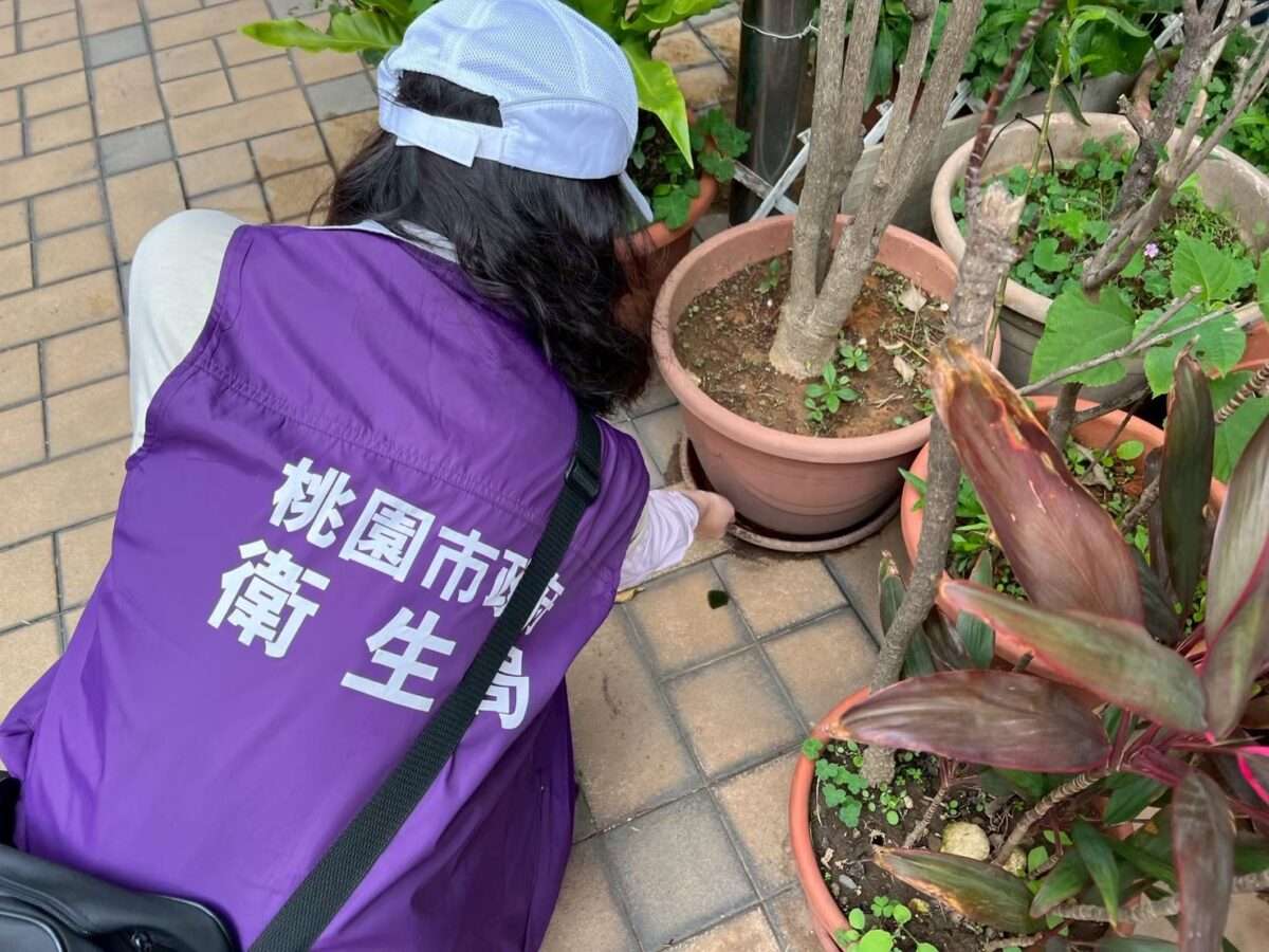 登革熱持續升溫!桃園防範傳播風險 未做1事恐罰1萬5 S 184950797