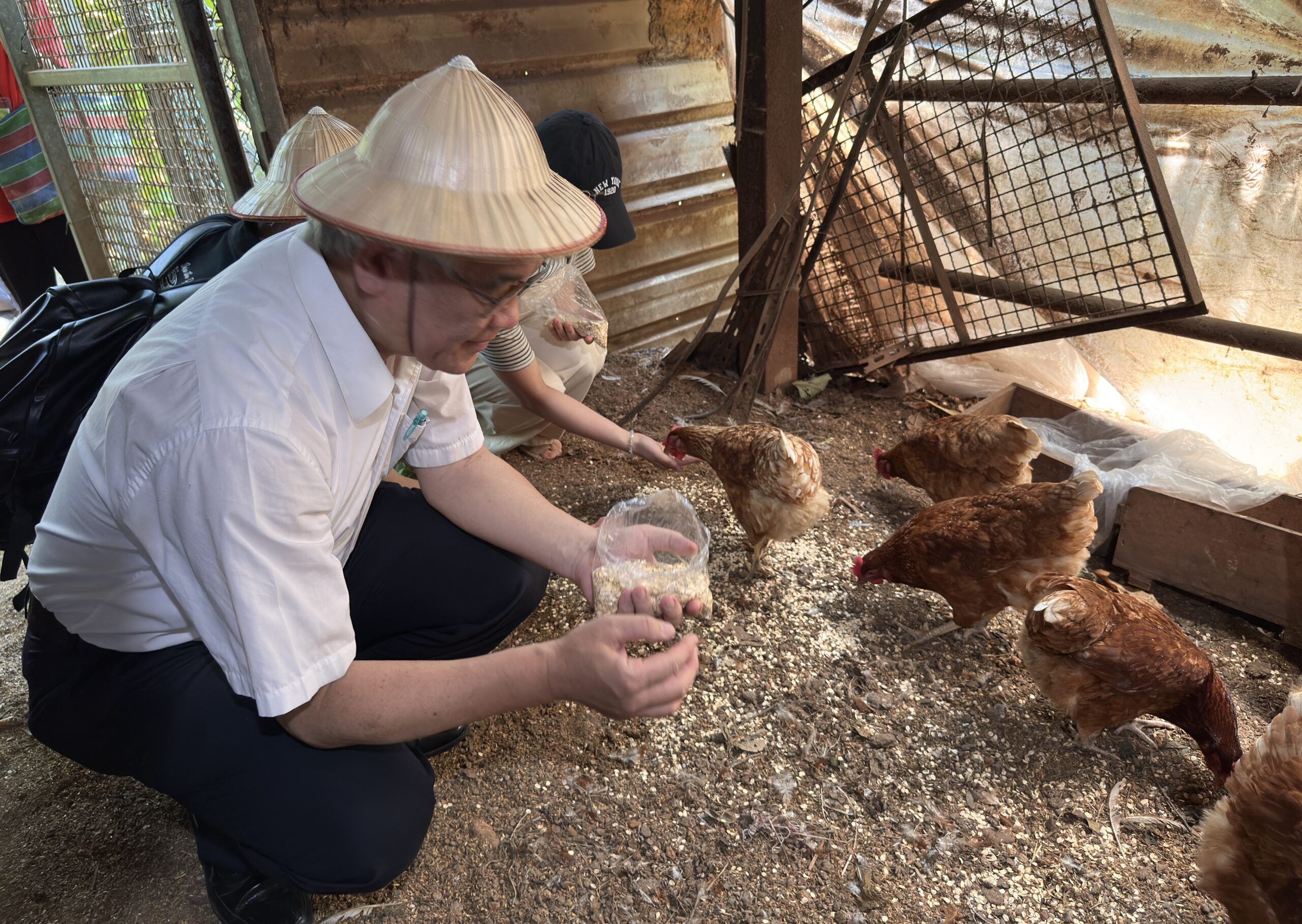 1 2餵雞 scaled