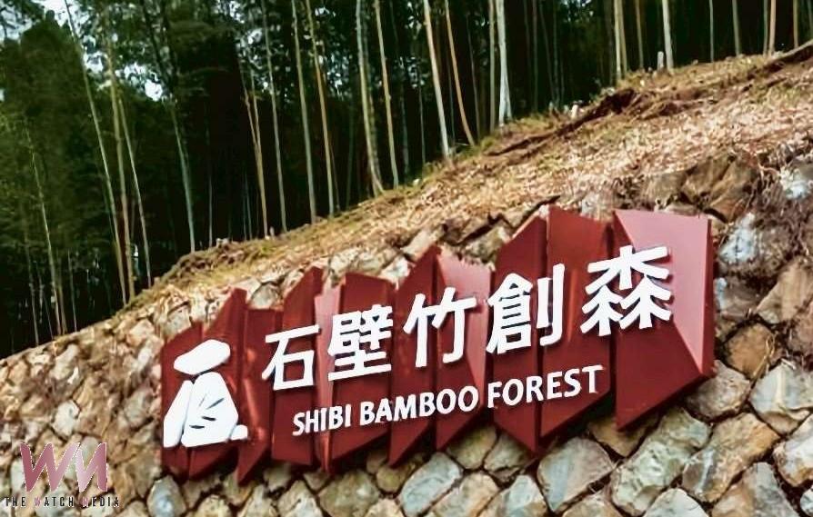 草嶺石壁竹林再創里程碑　獲全國首座FSC公有竹林驗證 - https://www.watchmedia01.com