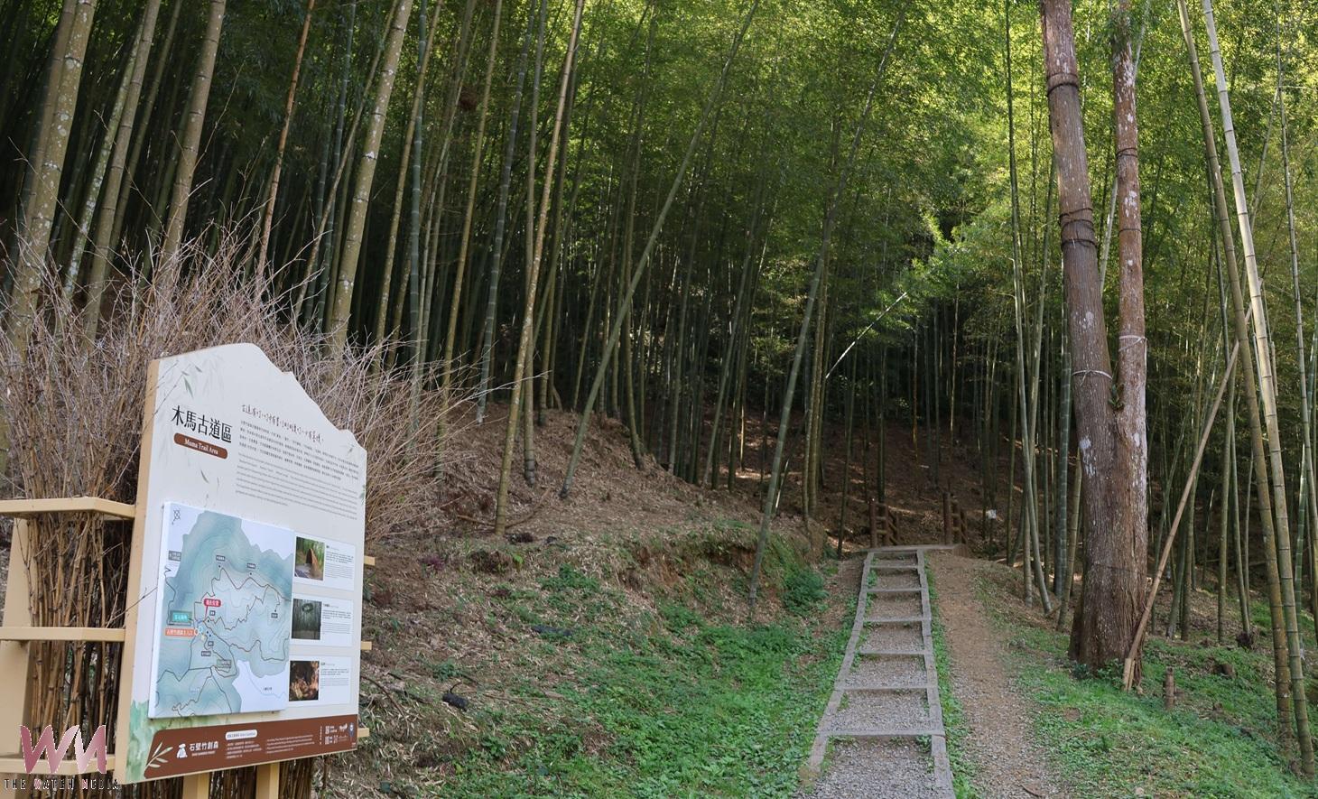 草嶺石壁竹林再創里程碑　獲全國首座FSC公有竹林驗證 - https://www.watchmedia01.com