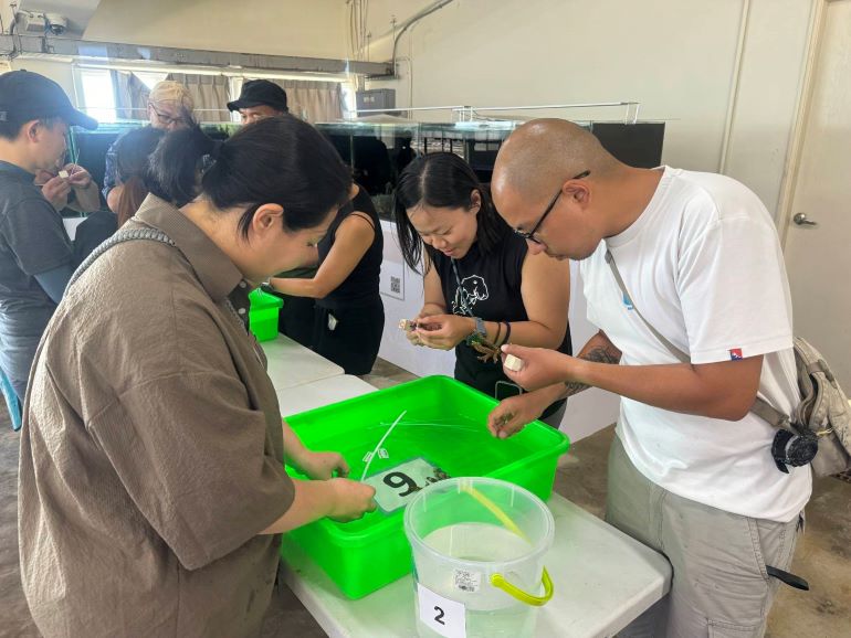 守護海洋 卯澳灣珊瑚移植工作坊號召潛水志工6/1開跑 46 《圖說》民眾自己動手將珊瑚固定於基座上。〈漁業處提供〉