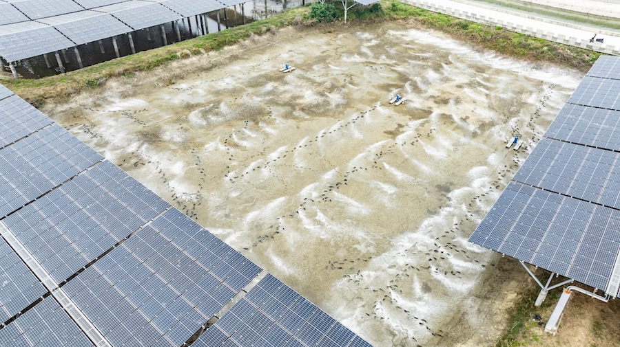 台泥漁電共生一期F區案場遭政府單位撤照，台泥提訴訟，養殖戶、地主聯名狀告嘉縣府。縣政府：依法辦理。（圖/台泥提供）