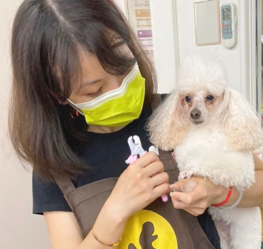 幫毛孩洗香香不再踩雷!「犬貓美容定型化契約」守護業者與飼主的小確幸