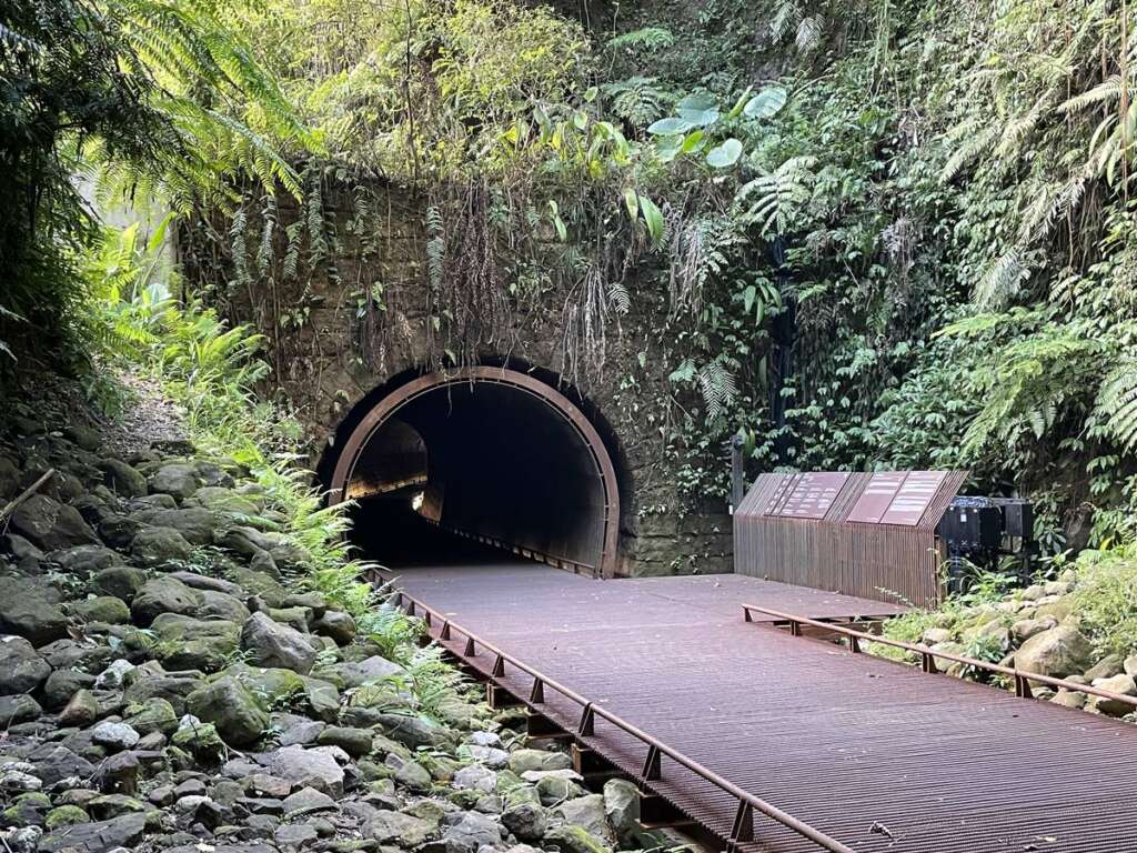 ▲承載百年歷史的「三貂嶺生態友善隧道」,新北市政府採生態友善管理,透過人流控管與低干擾設計,保存了周邊豐富的蕨類與茂密林相,宛如隱身山林的小森林。