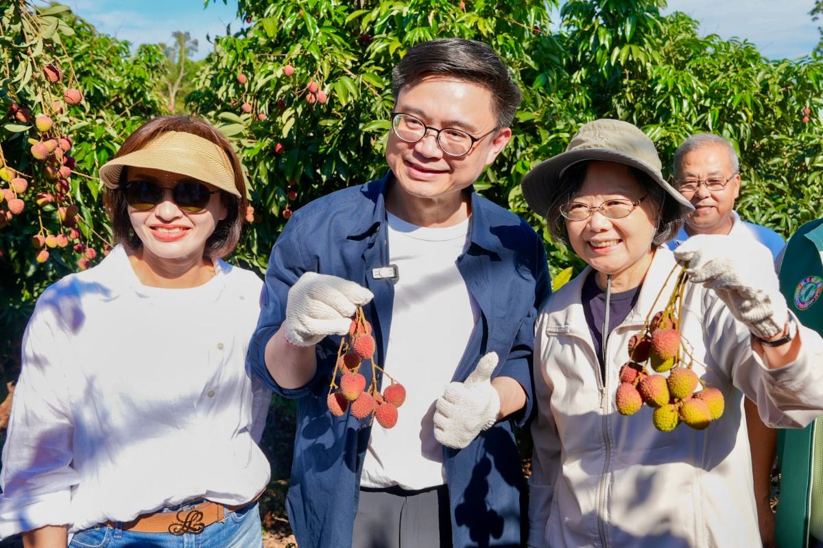 ▲小英下田採玉荷包!賴瑞隆、邱議瑩力推高雄農產,大樹「荔」量紅遍全台。