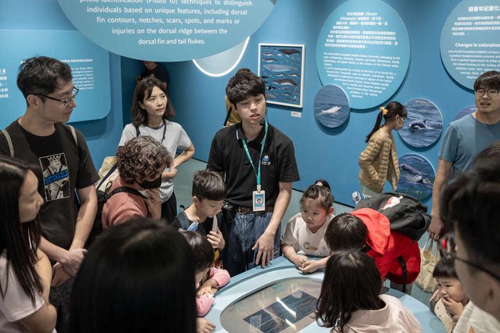 台中海洋館守護海洋活動6/6-8登場 玩桌遊體驗沉浸式冒險