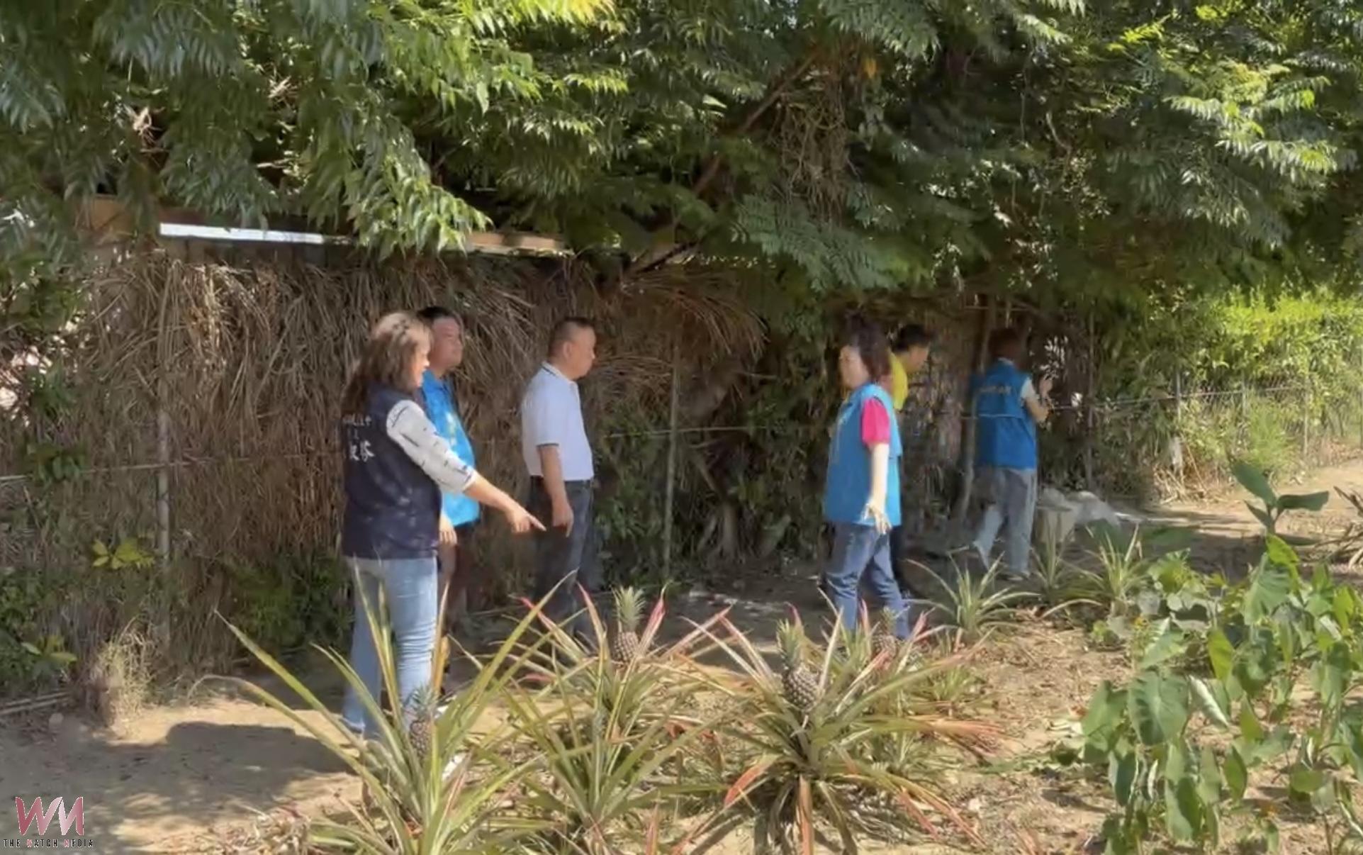 全面開戰登革熱！鎮長林庚壬突擊巡查防疫不鬆手 - https://www.watchmedia01.com