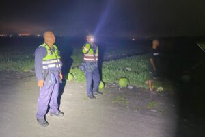 玉警護瓜添插曲 山羌野兔頻出沒 彷彿指引警方巡田水 38 MEITU 20260529 105704112 300x200 1