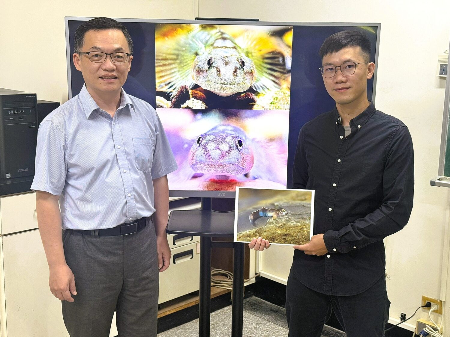 新種魚命名致敬原民紋面文化 中山大學發現「紋面韌鰕虎」