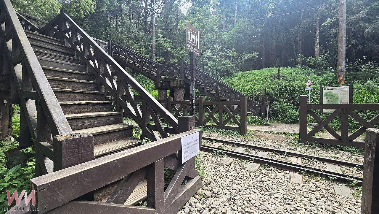 阿里山塔山步道7月起全線封閉整修 一葉蘭保留區改動線 - https://www.watchmedia01.com