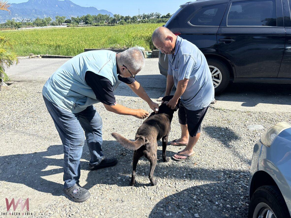 5月驚現3例狂犬病鼬獾！ 臺東縣政府加強全面防疫措施
