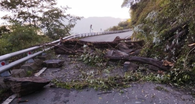 高市桃源區禮觀路段發生路樹倒塌  道路阻斷，雙向無法通行