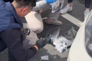 溯源斷根斬毒鏈 花警緝毒行動奏捷 多種毒品遭查扣 56 MEITU 20260530 133718052 300x200 1