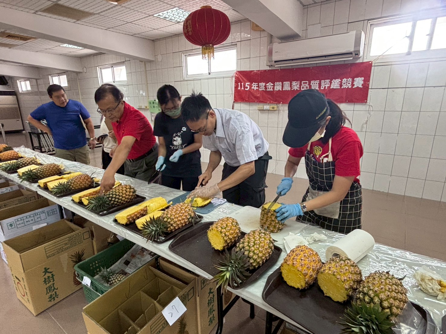115年高雄鳳荔品質評鑑競賽揭曉 大樹區農友謝清男、劉文賢勇奪雙冠軍