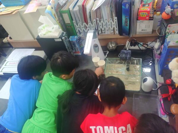 學生透過觀察水域生態與實作探究活動，學習環境監測與公民科學精神，從生活中培養科學素養與永續意識。圖/臺北市政府