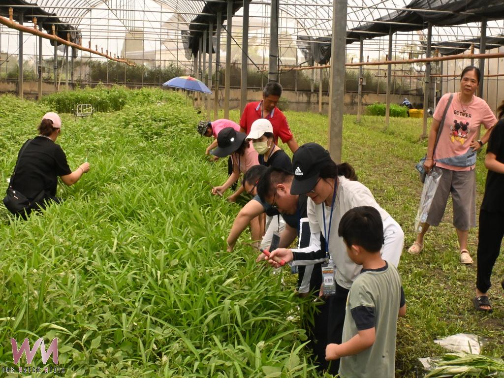 永靖農會推有機田園體驗　親子走入台盛農場認識有機版的食農教育 - https://www.watchmedia01.com