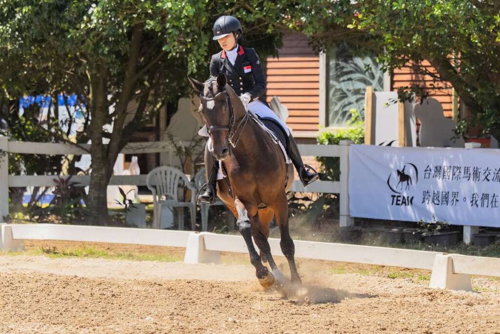 ▲2026國際馬術節暨馬場馬術國際交流賽。