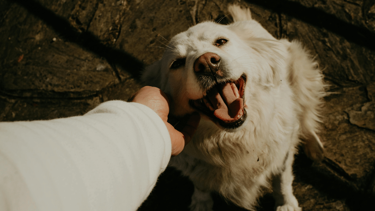 示意圖。(圖:Canva)