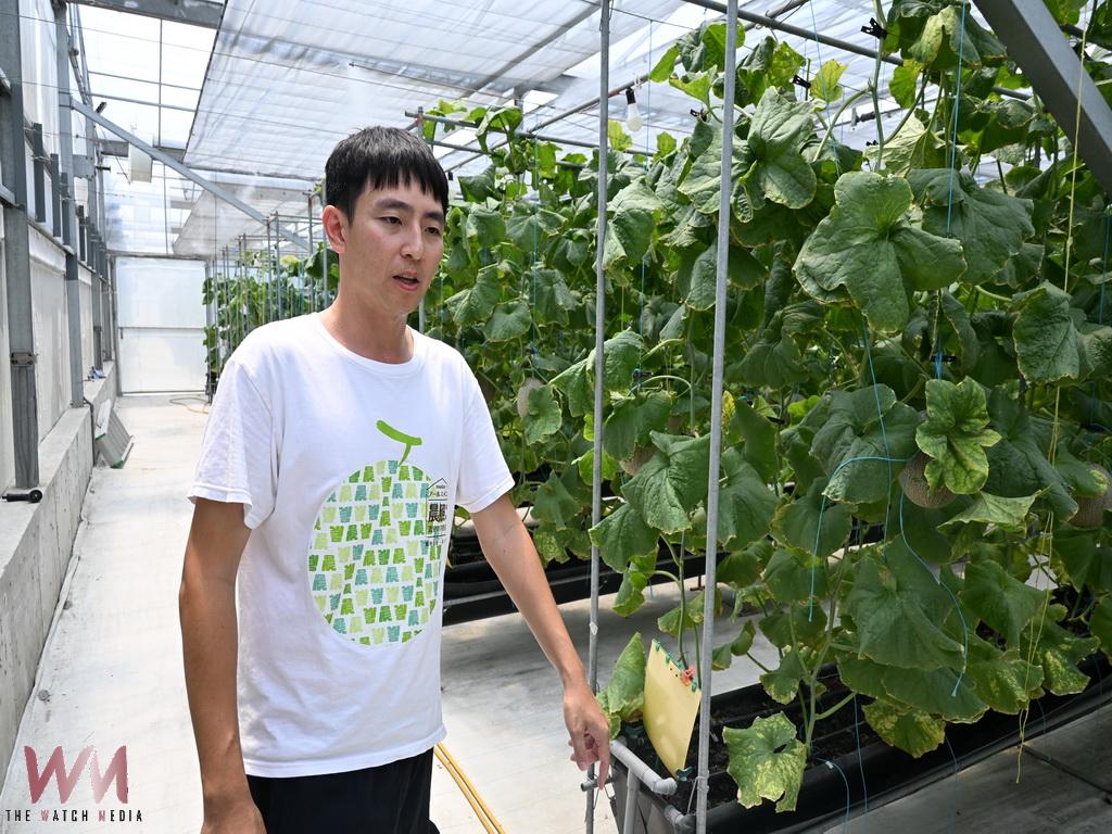 從化學人到種瓜職人　福興青農陳照委勇奪評鑑金牌打造台灣精品洋香瓜傳奇