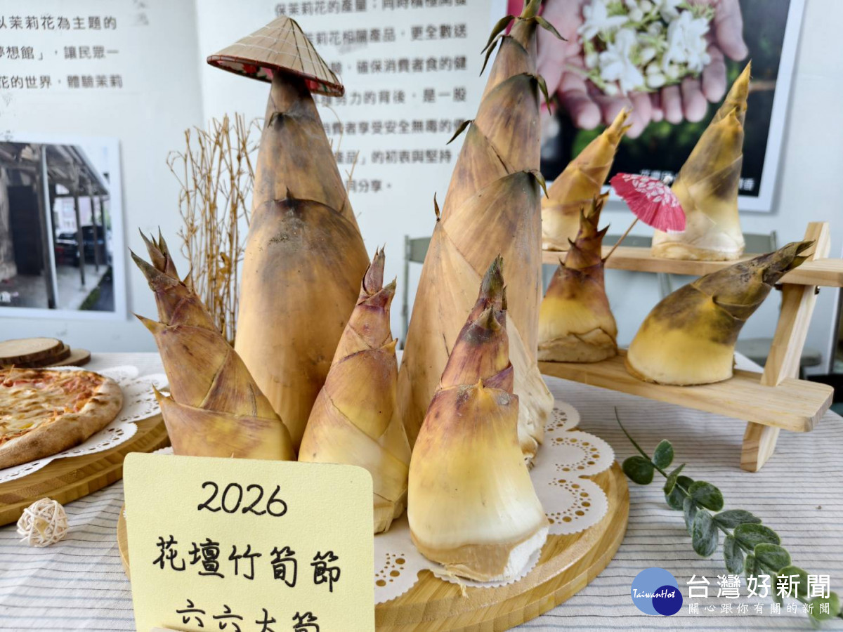 2026世界茉莉盛典登場，一票暢玩13關窨香冒險體驗花壇魅力。圖／記者鄧富珍攝