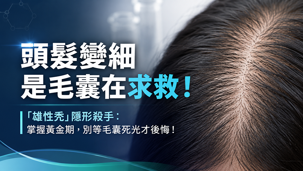 頭髮變細可能是雄性禿早期訊號？醫師解析毛囊微小化的形成原因