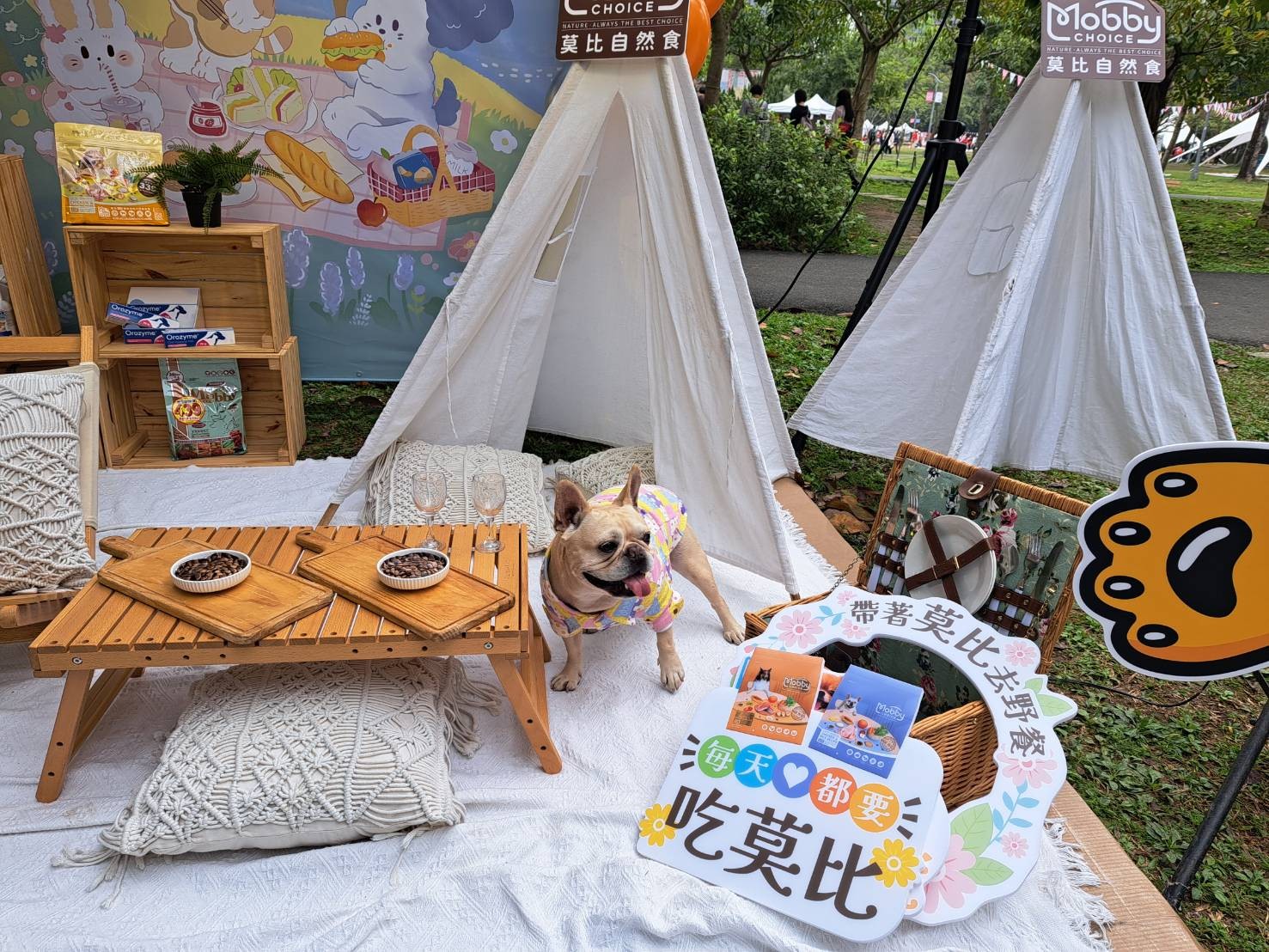 超人氣飼料莫比自然食，品牌33週年也規劃寵物展互動與超瘋狂週年抽獎活動，邀請飼主共同參與。(圖/莫比自然食)