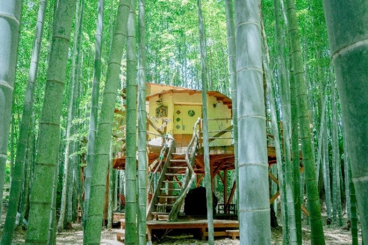 與長頸鹿共進早餐！千葉超人氣動物園豪華露營「THE BAMBOO FOREST」