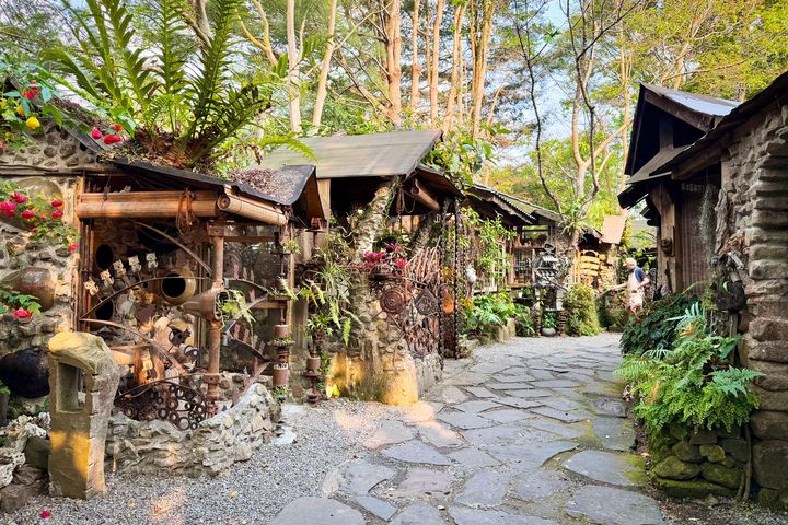 端午連假/漫遊阿里山 品味冠軍咖啡與療癒系雲海風景