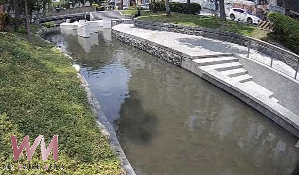 節省經費致綠川退化?中市水利局曝4大整治工程:成果不容被扭曲抹煞 - https://www.watchmedia01.com