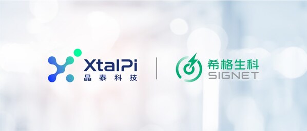 晶泰科技賦能希格生科再獲IND:強活性 pan-TEAD抑制劑SIGX2649臨床潛力凸顯,AI+類器官模式持續驗證