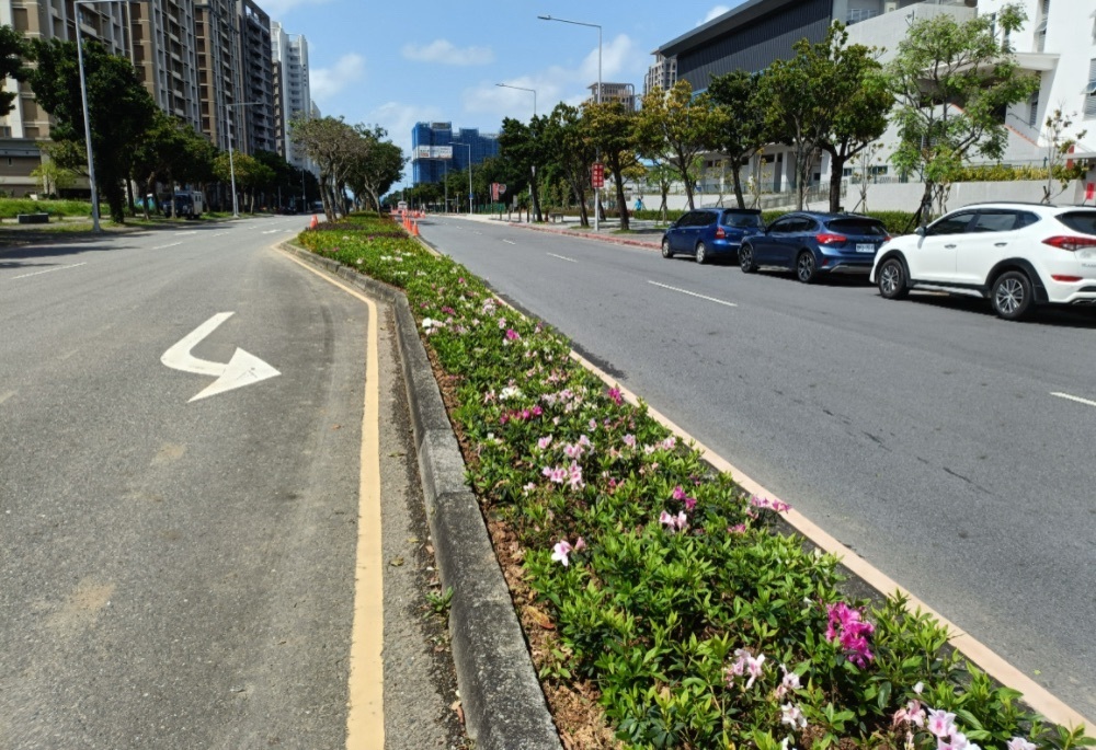 新北景觀處植栽妝點繽紛綠廊 迎接淡江大橋新時代 203 248260602a04