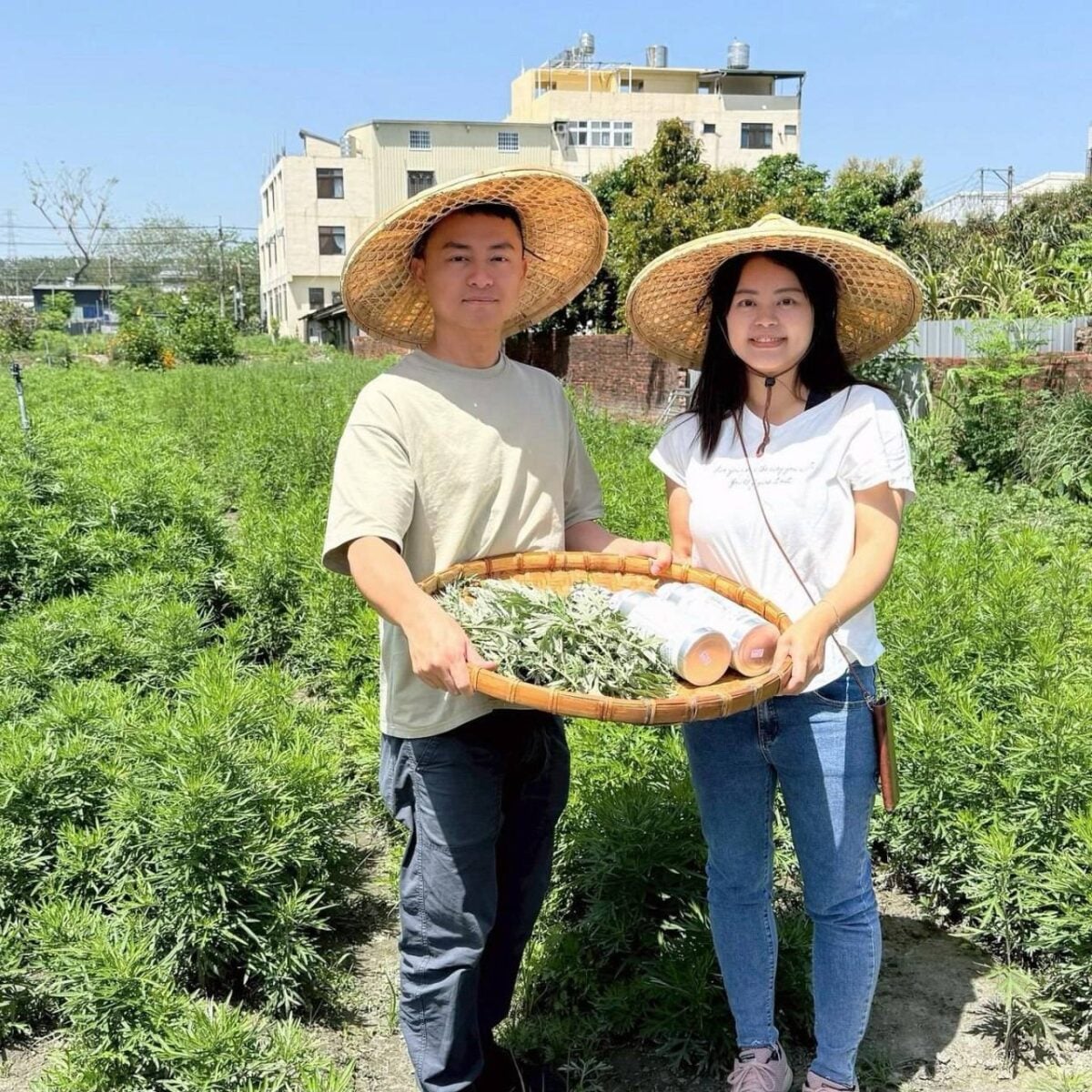 ▲艾草和午時水是製作午時艾草平安皂最重要的材料。