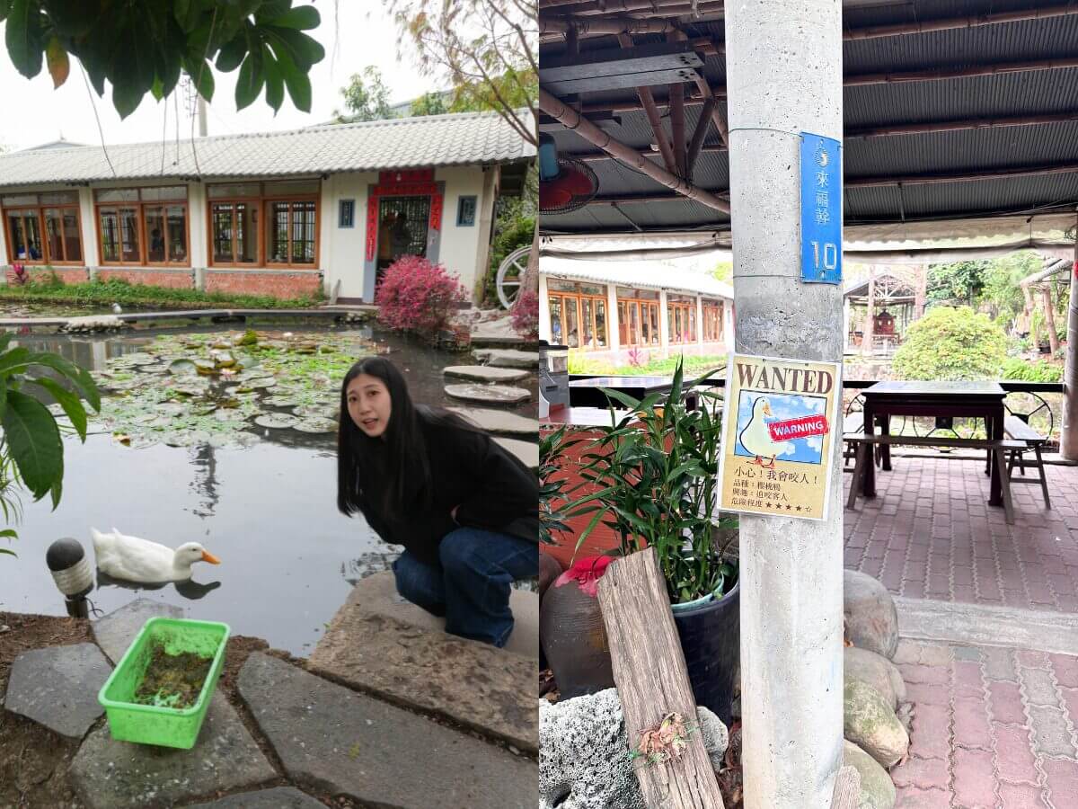 台中南屯森系餐廳｜鬧區也能被綠意包圍！田寮農莊＋兩間風格咖啡廳，療癒一日散步