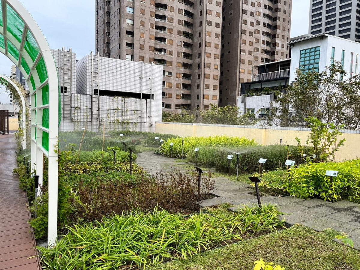▲屋頂種綠意、城市降溫去！高雄綠屋頂補助最高80萬。