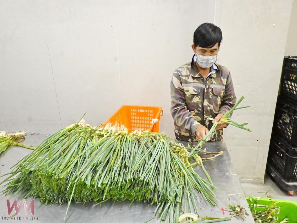 永靖台盛農場30年堅持有機路　詹仁銓堅持30年有機蔬菜打進全台超市通路 - https://www.watchmedia01.com
