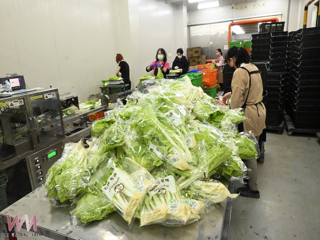 永靖台盛農場30年堅持有機路　詹仁銓堅持30年有機蔬菜打進全台超市通路 - https://www.watchmedia01.com