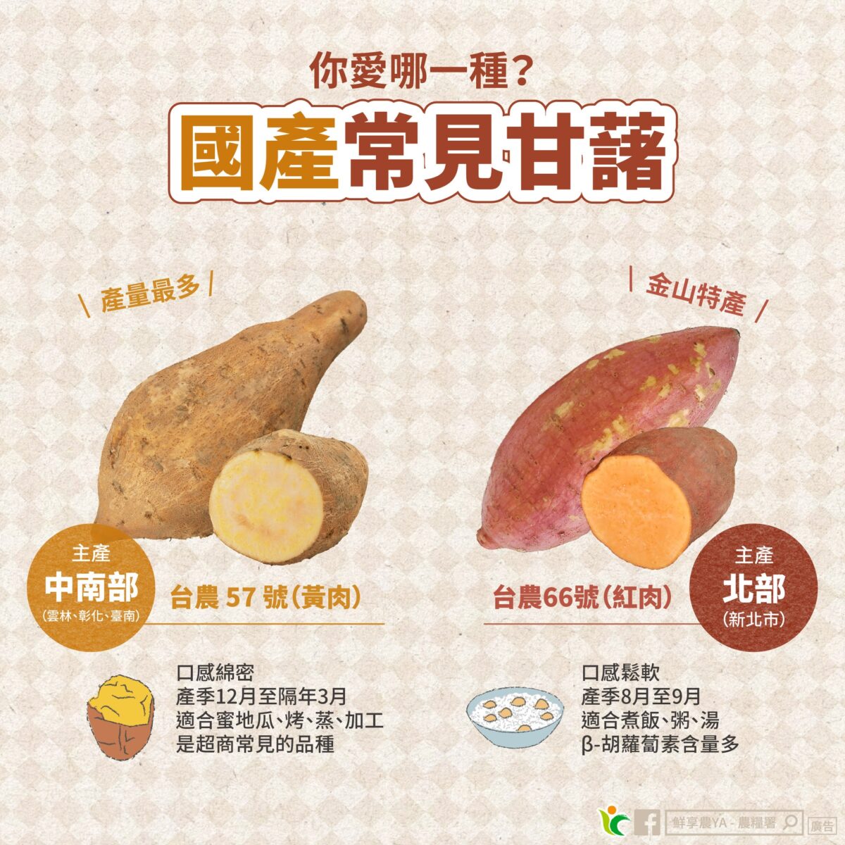 番薯哪種最好吃?農糧署曝2常見品種挑選指南 680600740 1280228740922420 4876387571982961055 n