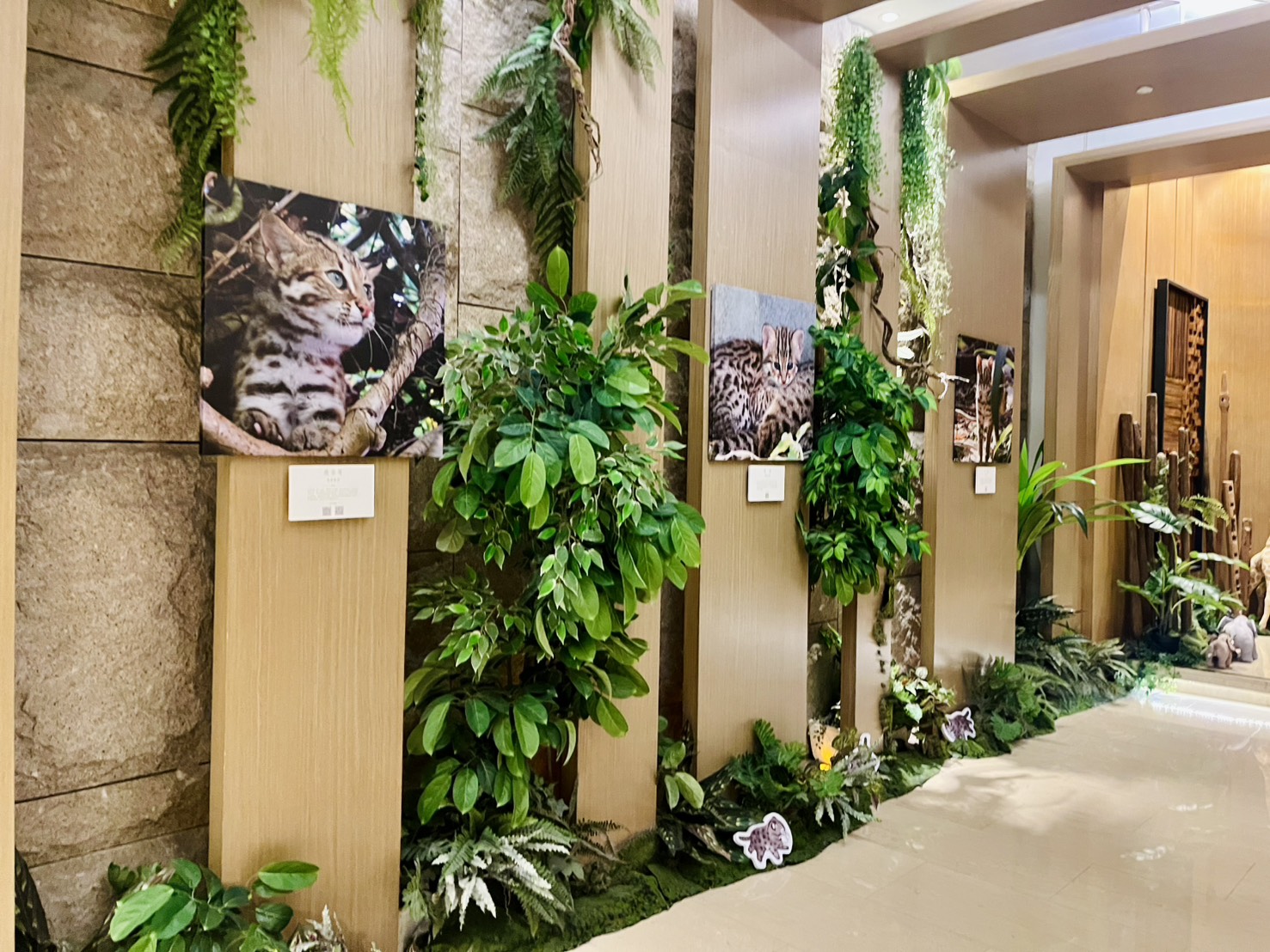 響應世界環境日!日月潭雲品攜手林保署、生多所首推「里山森林特展」 - https://www.watchmedia01.com