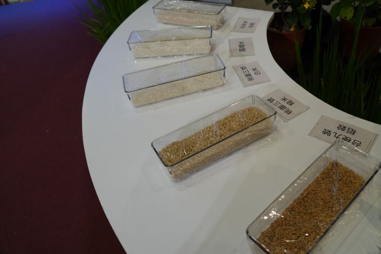 四季金山特展登場 週末免費DIY體驗農村風土 44 《圖說》金山在稻作從春耕到秋收,透過友善農法維護田間生態。〈農業局提供〉