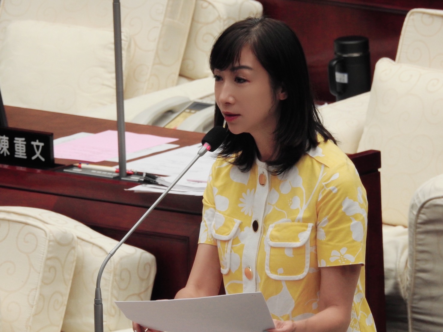 藍擬修法中國籍人士選舉免棄國籍 許淑華:不應鬆動現有防線 228 藍擬修法中國籍人士選舉免棄國籍 許淑華:不應鬆動現有防線 227