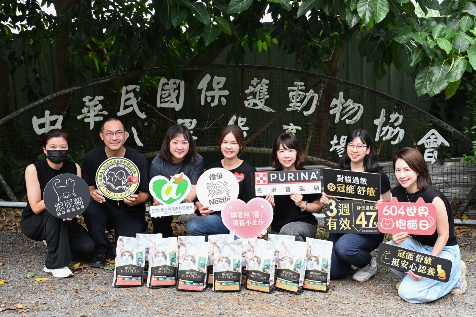 過敏別再怪貓毛了！寵物食品竟可助攻飼主重拾抱貓自由 225