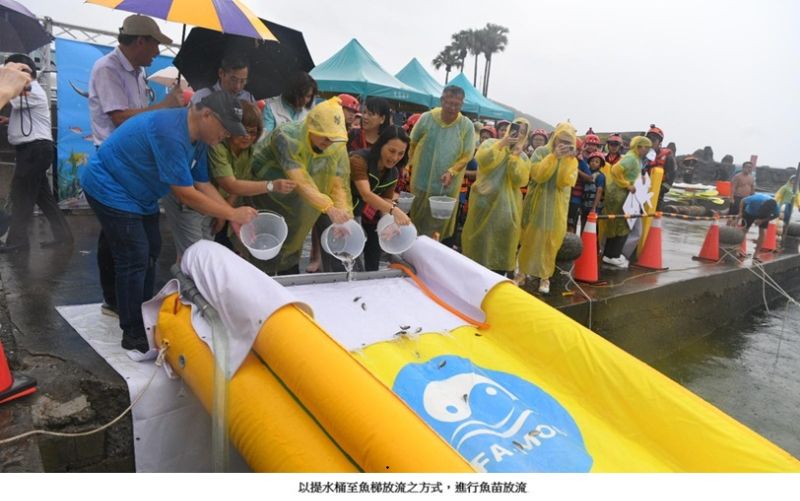 漁業署響應2026世界海洋日 萬里野柳舉辦魚苗放流 攜手學童扎根永續觀念