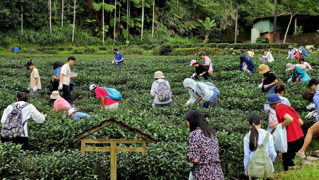 玩翻坪林秘境!2026新北好茶春茶市集6/6熱血開跑,五感體驗、水陸派對嗨翻天 40 S 50470921 1024x577 1