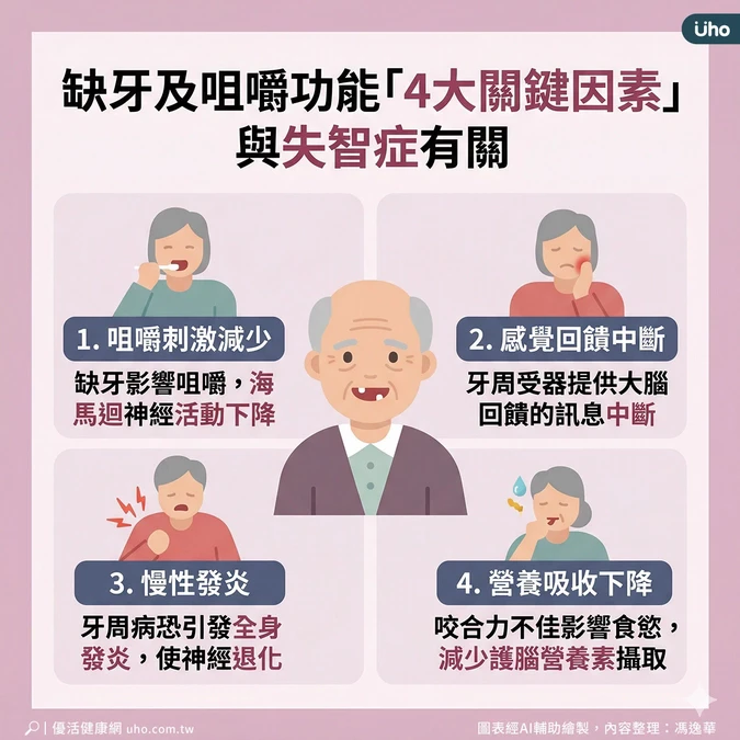 4因素讓大腦神經退化