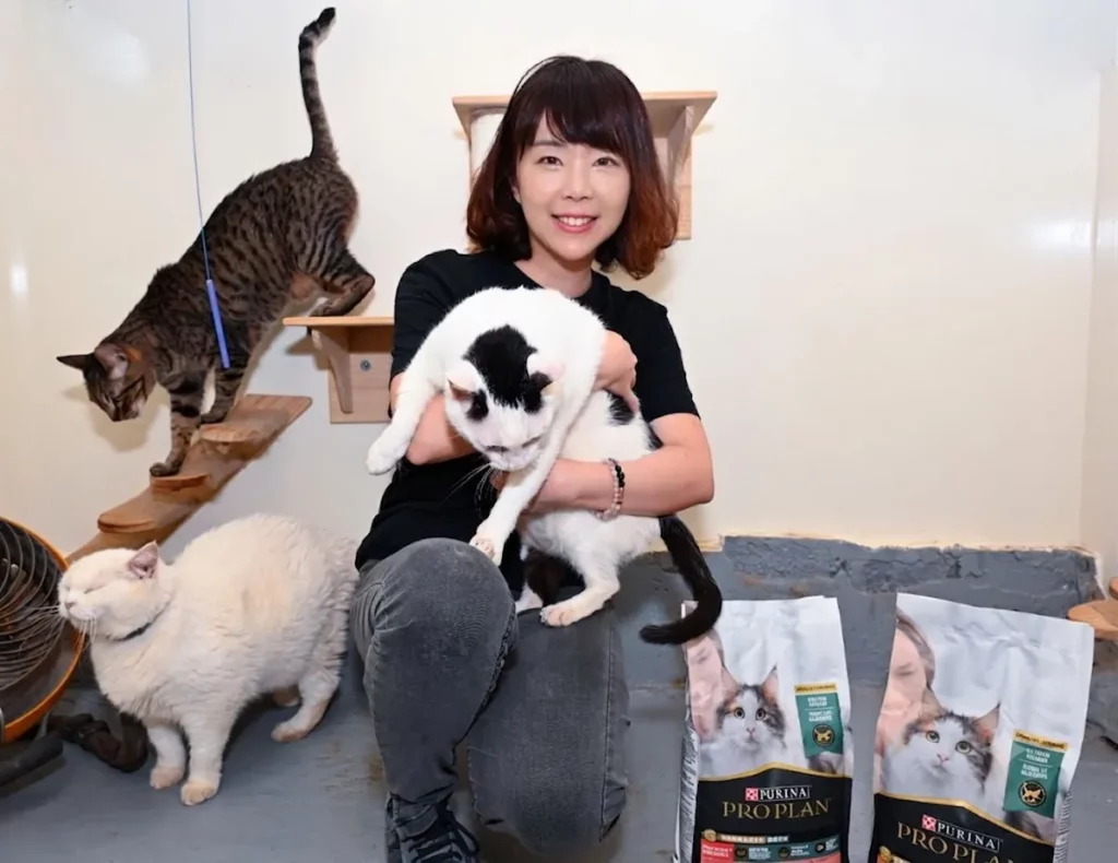 台灣雀巢普瑞納寵物食品事業部總監周小喬與浪貓親暱互動,冠能舒敏飼料讓每一次擁抱都充滿安心與幸福。